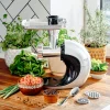 SLOW JUICER 3 IN 1 ADLER