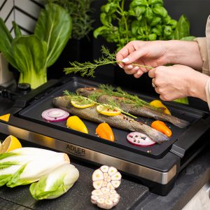 AD6613@11-2 GRILL ELECTRIC DE MASA 3000W AD 6613 ADLER