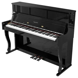 PIAN DIGITAL KRUGER&MATZ