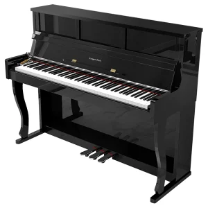 PIAN DIGITAL KRUGER&MATZ