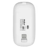 MOUSE WIRELESS 1600 DPI WM210 REBEL