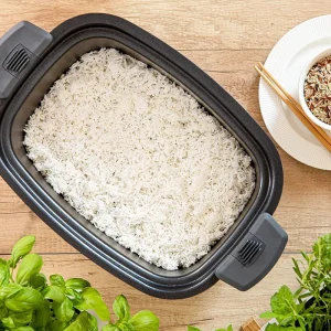 S-SPR5508BK@19 SLOW COOKER 6L