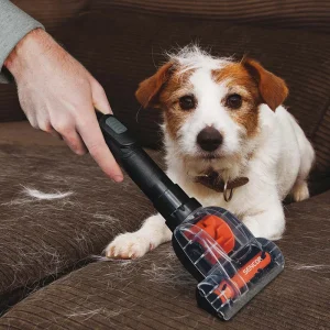 ASPIRATOR FARA SAC 750W SENCOR