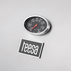 GRILL GAZ 5 ARZATOARE BBQ 5001 MASTER GRILL TEESA