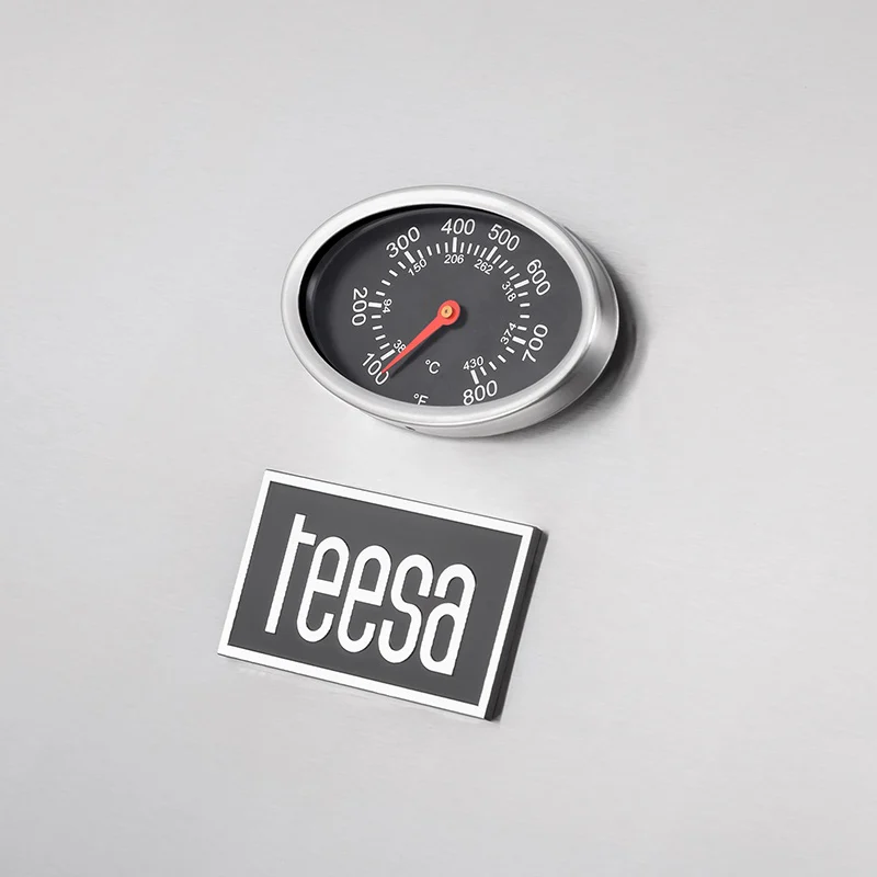 GRILL GAZ 5 ARZATOARE BBQ 5001 MASTER GRILL TEESA