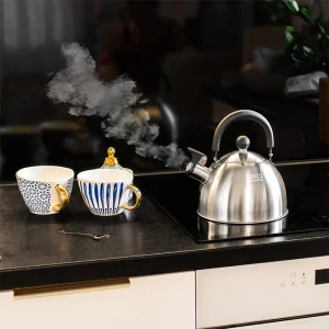 TSA0153@6 CEAINIC CU FLUIER OTEL 1.8L TEESA