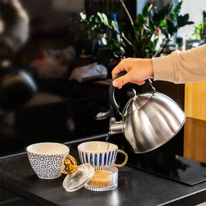 TSA0153@7 CEAINIC CU FLUIER OTEL 1.8L TEESA