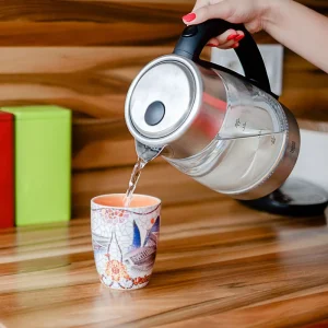 FIERBATOR ELECTRIC REGLARE MENTINERE TEMPERATURA TEESA