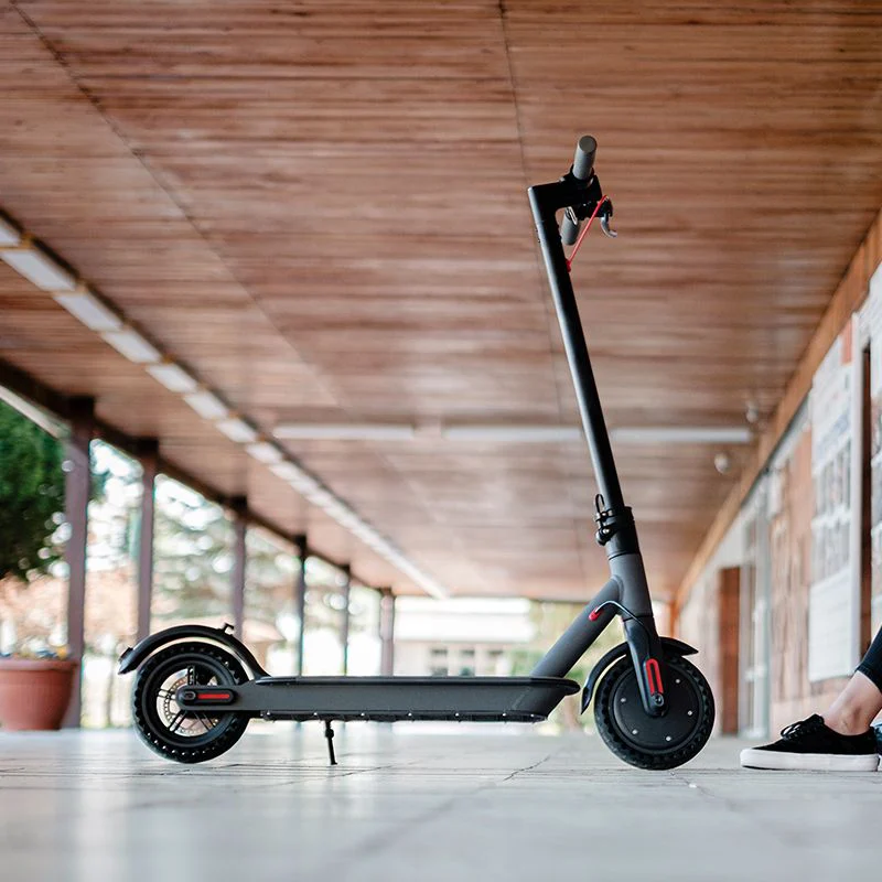 TROTINETA ELECTRICA FAST WHEELS PRO 250W