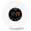 CEAS DESTEPTATOR ALARMA FM RADIO