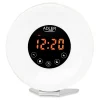 CEAS DESTEPTATOR ALARMA FM RADIO