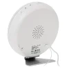 CEAS DESTEPTATOR ALARMA FM RADIO