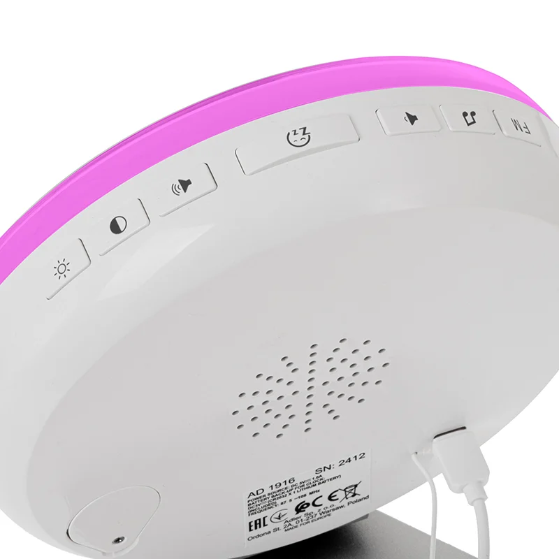 CEAS DESTEPTATOR ALARMA FM RADIO