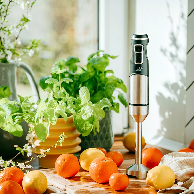 AD4628@10 BLENDER MANA 1900W AD 4628 ADLER