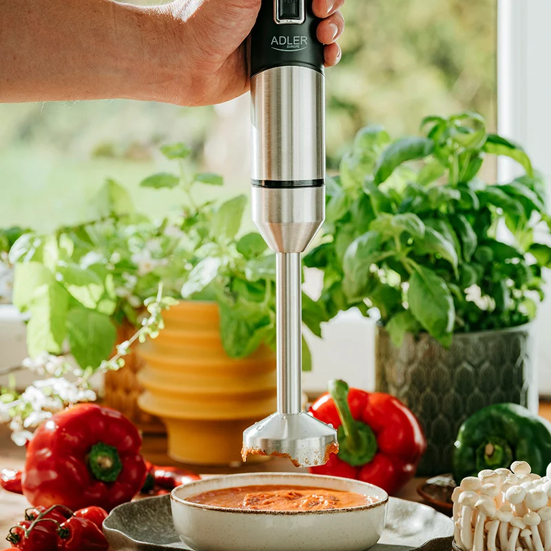 AD4628@9 BLENDER MANA 1900W AD 4628 ADLER