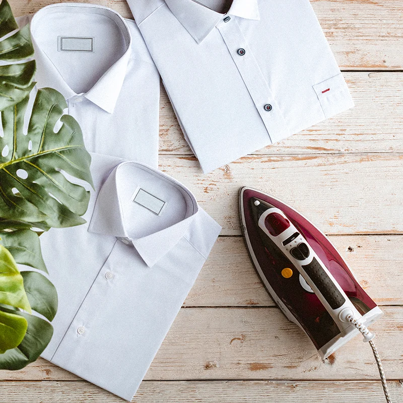 AD5022@5 FIER DE CALCAT 3000W AD 5022 ADLER