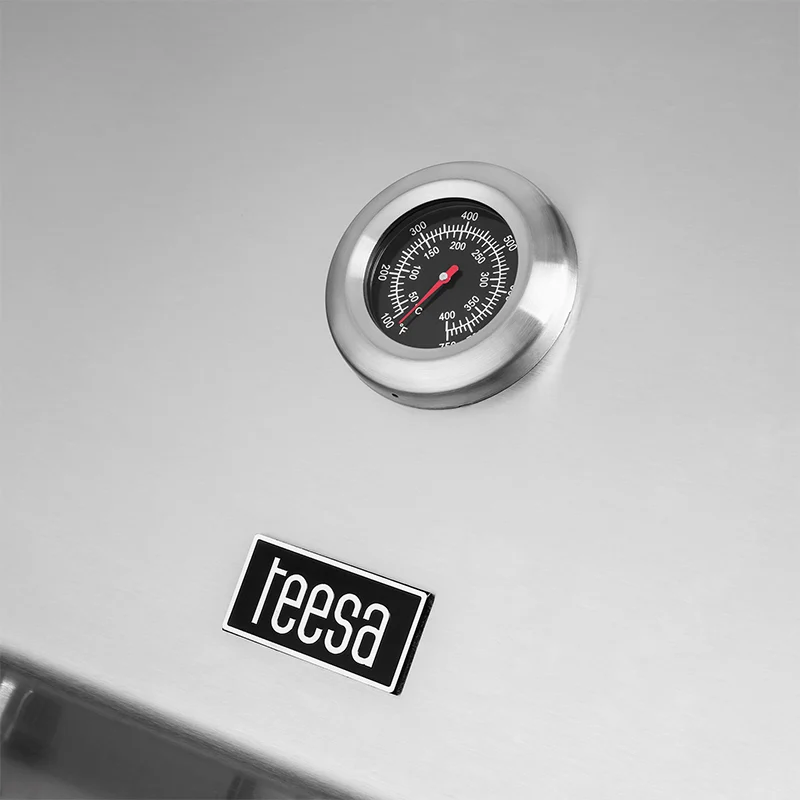 TSA0251@8 GRILL GAZ 5 ARZATOARE BBQ 5007 MASTER GRILL TEESA